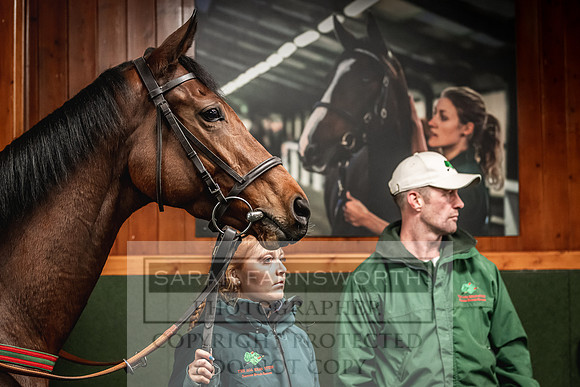 Goffs Nov Breeding Stock Sale 22-417