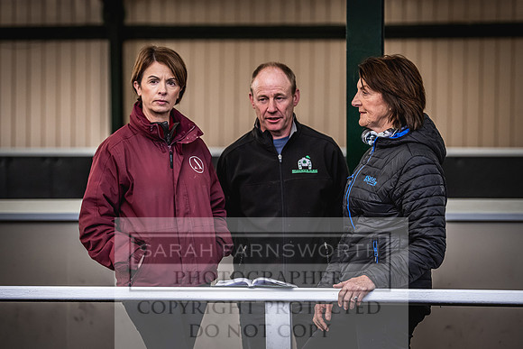 Goffs Nov Breeding Stock Sale 22-308