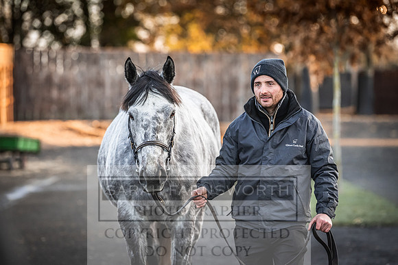 Goffs Nov Breeding Stock Sale 22-81