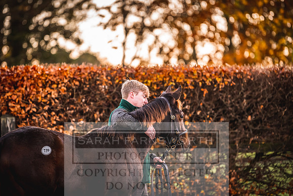 Goffs Nov Foal Sale 22-9