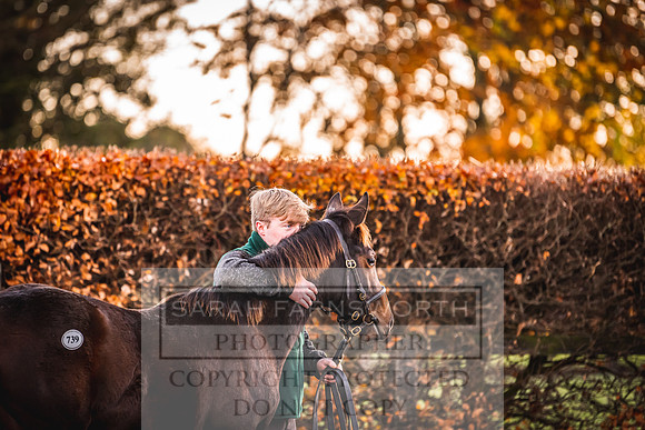 Goffs Nov Foal Sale 22-10