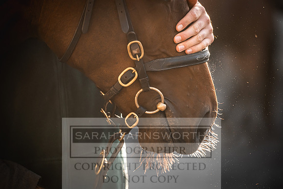 Goffs Orby Inspections 2023-9