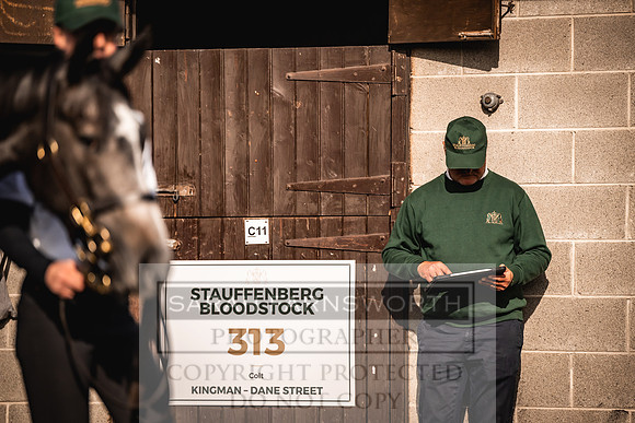 Goffs Orby Inspections 2023-145