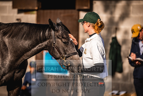 Goffs Orby Inspections 2023-137