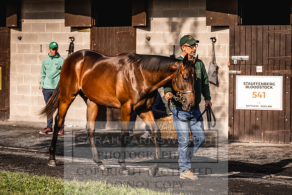 Goffs Orby Inspections 2023-150