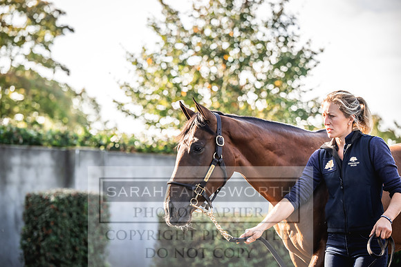 Goffs Orby Inspections 2023-121