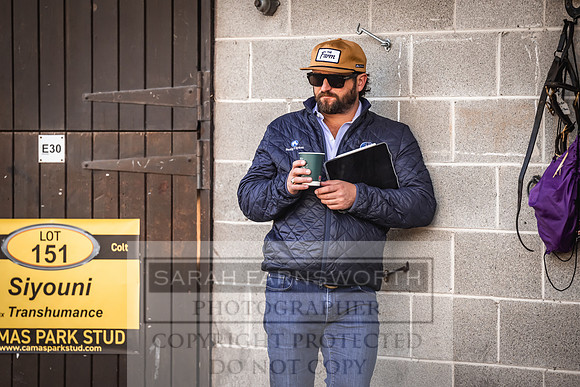 Goffs Orby Inspections 2023-181