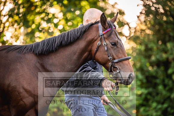 Goffs Orby Inspections 2023-34