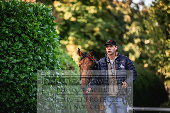 Goffs Orby Inspections 2023-38