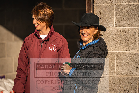 Goffs Orby Inspections 2023-93