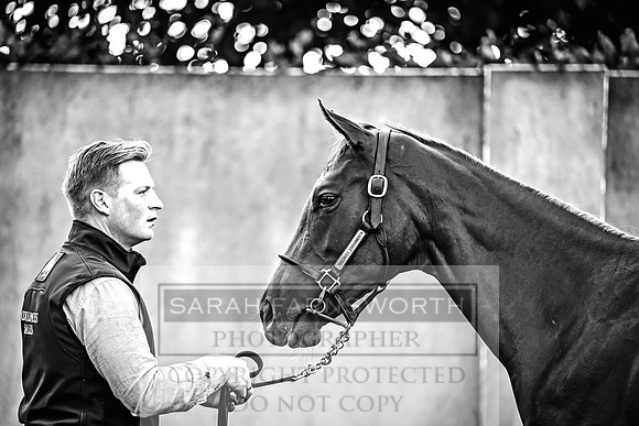 Goffs Orby Inspections 2023-46