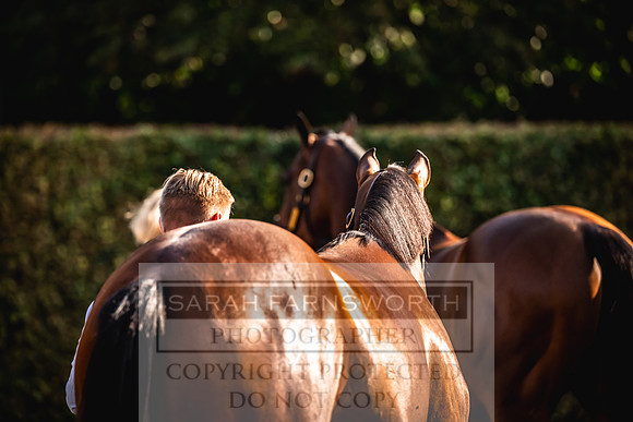 Goffs Orby Inspections 2023-116