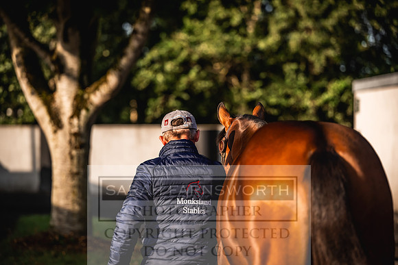 Goffs Orby Inspections 2023-100