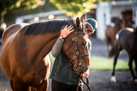 Goffs Orby Inspections 2023-6