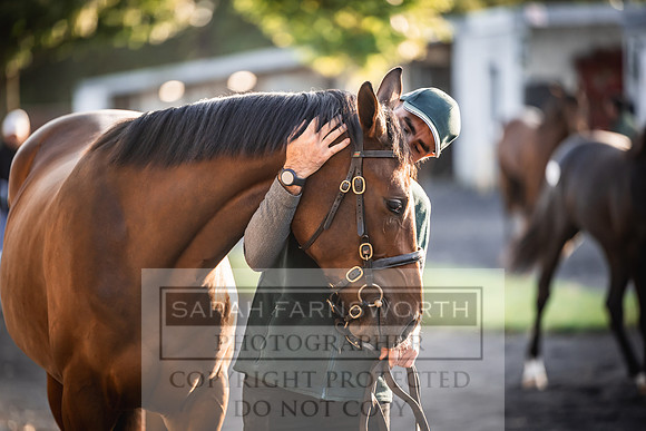 Goffs Orby Inspections 2023-6