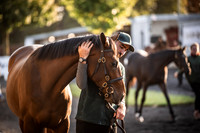 Goffs Orby Inspections 2023-4