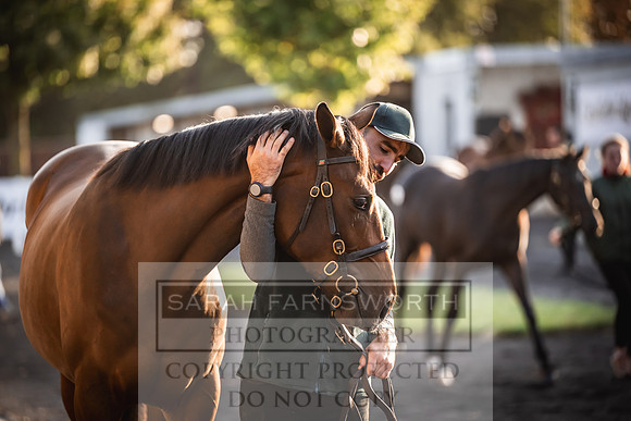 Goffs Orby Inspections 2023-4