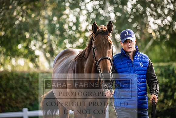 Goffs Orby Inspections 2023-86