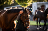 Goffs Orby Inspections 2023-5