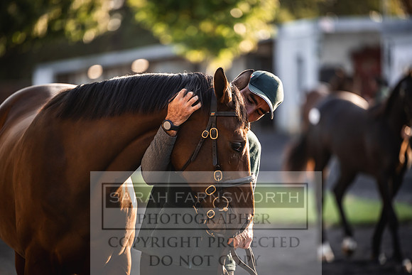 Goffs Orby Inspections 2023-5