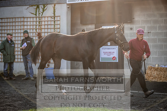 Goffs Orby Inspections 2023-95