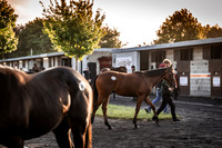Goffs Orby Inspections 2023-11
