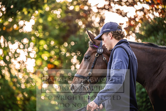 Goffs Orby Inspections 2023-35