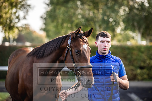 Goffs Orby Inspections 2023-83
