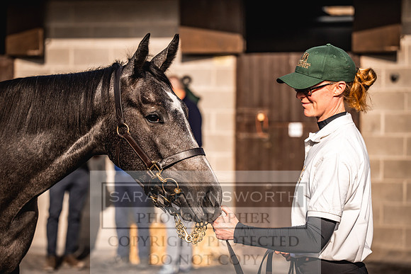 Goffs Orby Inspections 2023-147