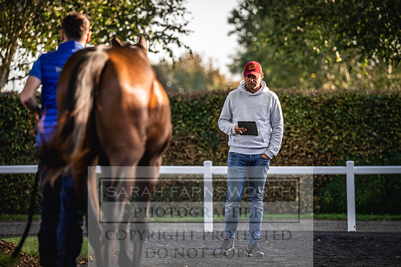 Goffs Orby Inspections 2023-81