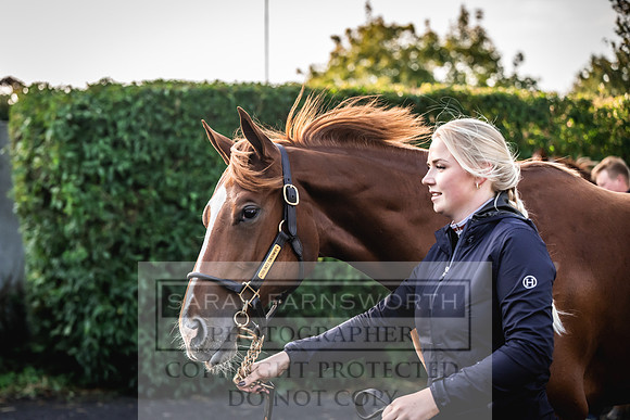 Goffs Orby Inspections 2023-48