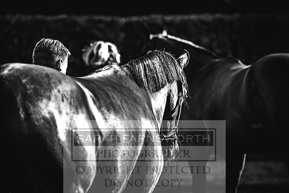 Goffs Orby Inspections 2023-114