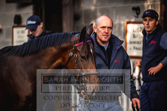 Goffs Orby Inspections 2023-40