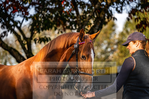 Goffs Orby Inspections 2023-33