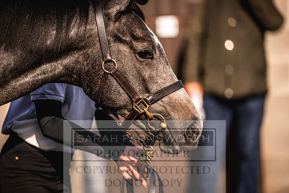 Goffs Orby Inspections 2023-142