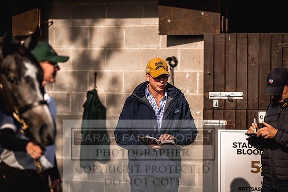Goffs Orby Inspections 2023-138