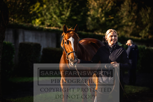 Goffs Orby Inspections 2023-52
