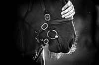 Goffs Orby Inspections 2023-8