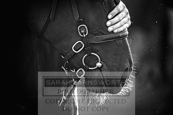 Goffs Orby Inspections 2023-8