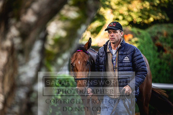 Goffs Orby Inspections 2023-41