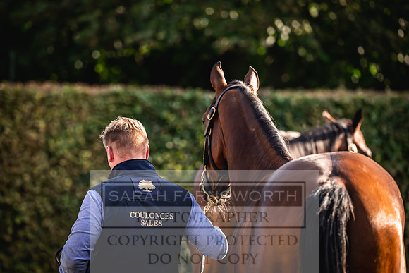 Goffs Orby Inspections 2023-117