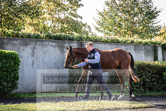 Goffs Orby Inspections 2023-120
