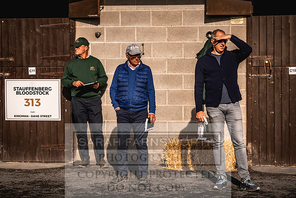 Goffs Orby Inspections 2023-143