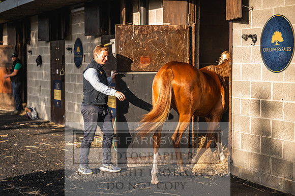 Goffs Orby Inspections 2023-66