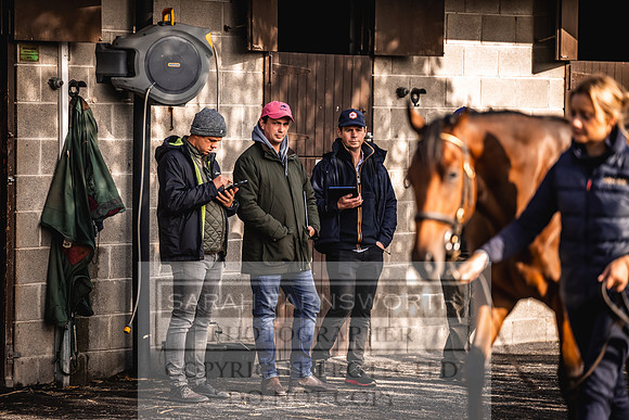 Goffs Orby Inspections 2023-176