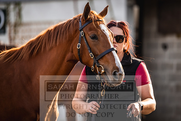 Goffs Orby Inspections 2023-171