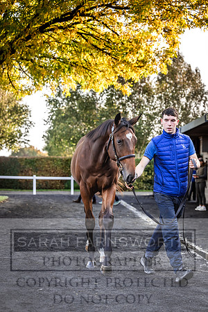 Goffs Orby Inspections 2023-79