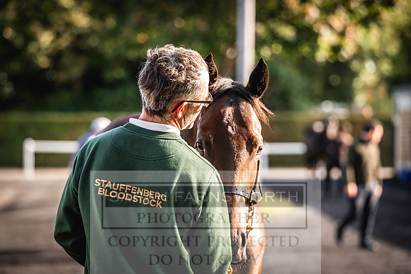 Goffs Orby Inspections 2023-154
