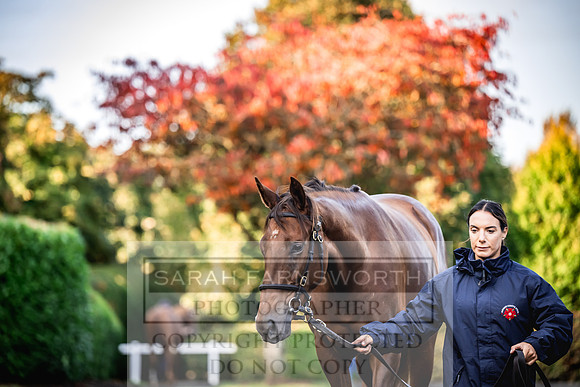 Goffs Orby Inspections 2023-25