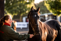 Goffs Orby Inspections 2023-10